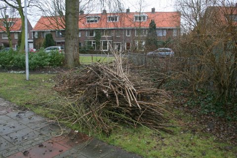 photo3.jpg